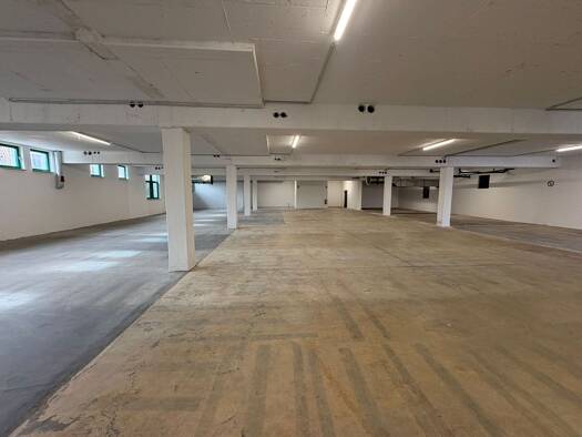 Halle/Industriefläche zur Miete 2.500 € 700 m² Lagerfläche Reusrath Langenfeld (Rheinland) 40764