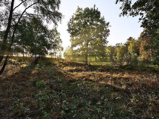 Wohnung zum Kauf provisionsfrei 269.800 € 3 Zimmer 76 m² 1. Geschoss Ullersdorf Radeberg 01454