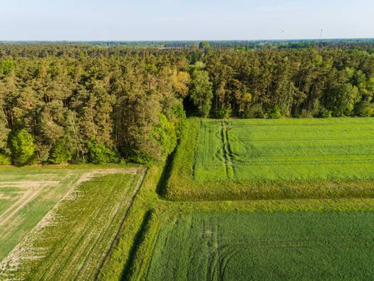 Forstwirtschaft zur Versteigerung 60.000 € 45.434 m² Grundstück Wulkow-Hohenbellin Redekin Jerichow 39319