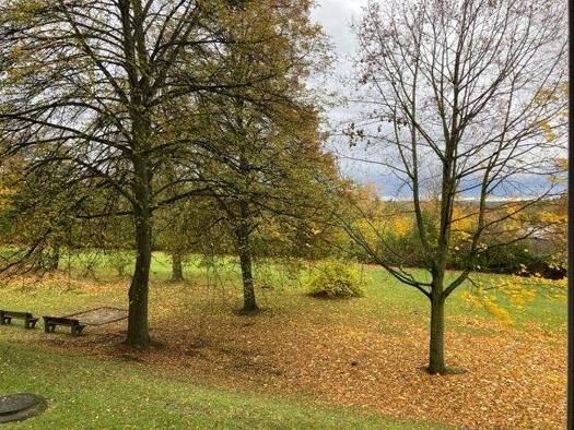 Wohnung zur Miete 210 € 1 Zimmer 31,4 m² 1. Geschoss Givorser Straße 10 Döbeln 04720