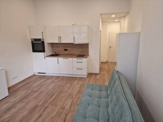 Wohnung zum Kauf 110.000 € 1 Zimmer 30,4 m² 1. Geschoss Altstadt Schweinfurt 97421