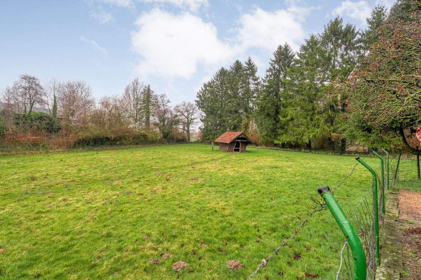 Immobilie in Wilsum - Freistehend wohnen im Grünen – großzügiges Grundstück und viel Potenzial nahe der niederländischen Grenze - Bild 2