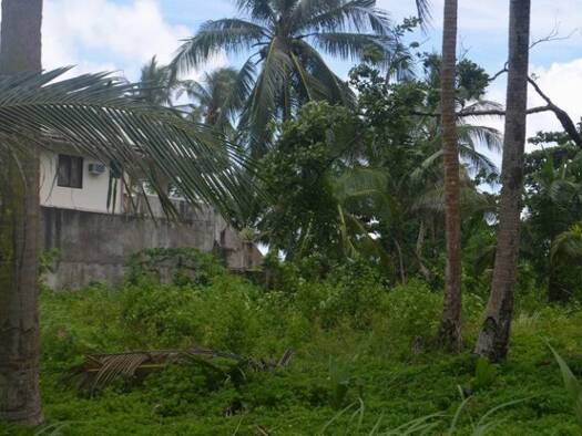 Grundstück zum Kauf 102.000 € 1.000 m² Grundstück Ferrol 5506