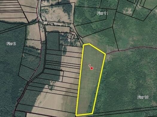 Land-/Forstwirtschaft zum Kauf provisionsfrei 3.800 € 3.218 m² 3.218 m² Grundstück Platz Ahlbeck 17375