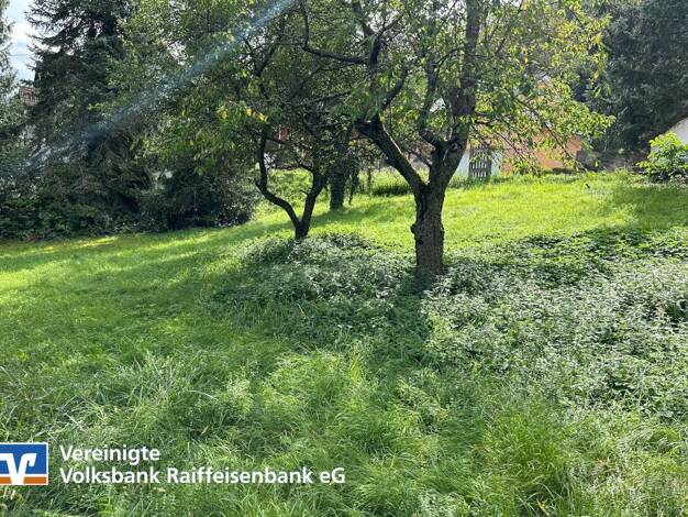 Grundstück zum Kauf 50.000 € 1.186 m² Grundstück Idar-Oberstein 55743