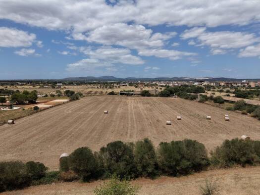 Grundstück zum Kauf 269.000 € 14.050 m² Grundstück Campos 07630