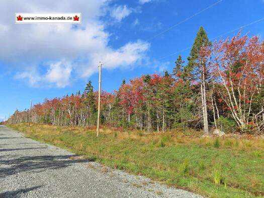 Grundstück zum Kauf 42.900 € 12.400 m² Grundstück Perry Lane Louisdale 010