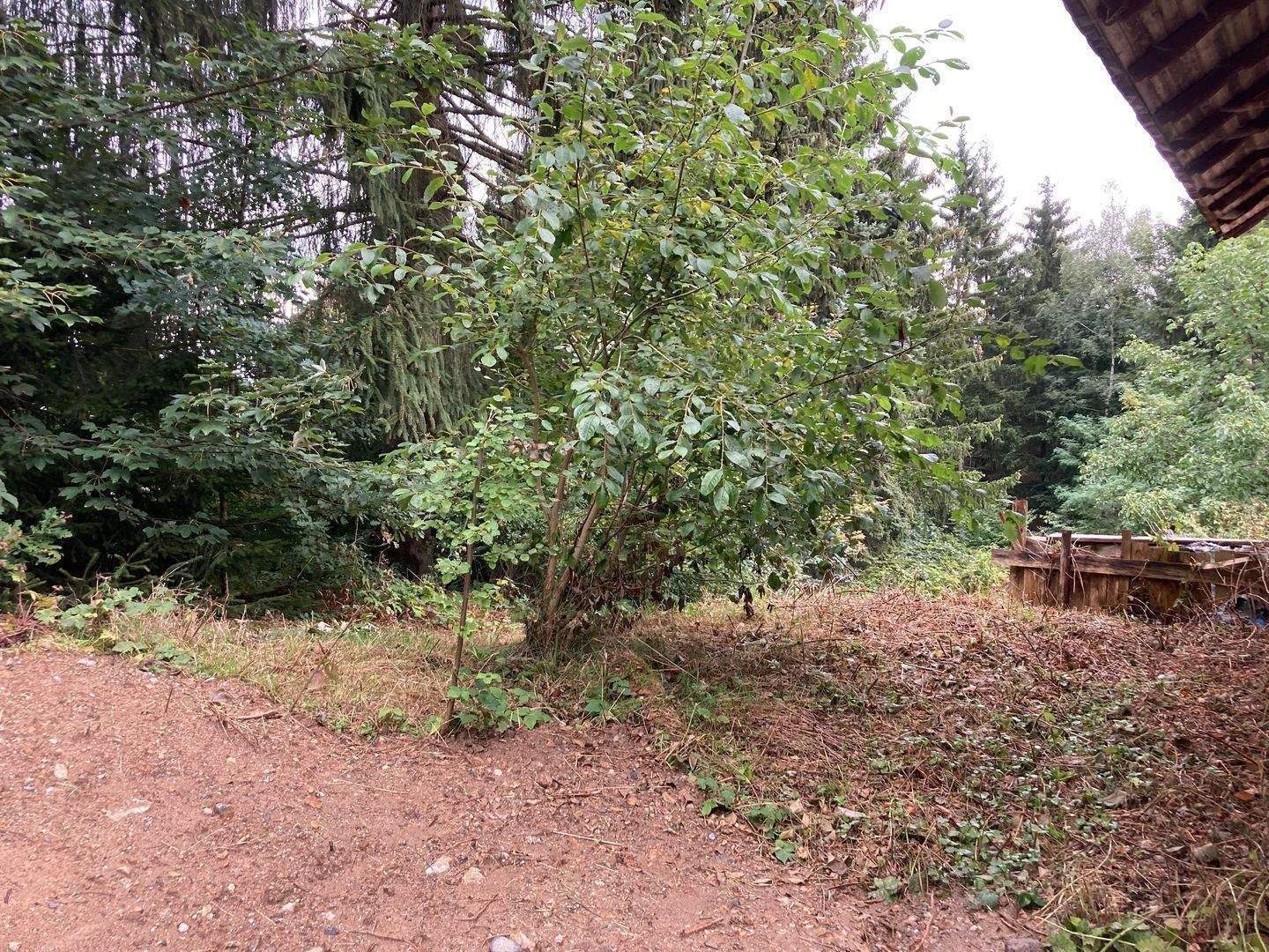 Immobilie in Neukirchen beim Heiligen Blut - Sanierungsbedürftiges Einfamilienhaus - im Außenbereich - selten erwerbbar - Bild 3