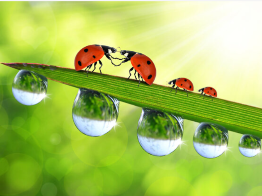 Wohnung zum Kauf provisionsfrei 171.150 € 2 Zimmer 48,9 m² EG Neuruppin 16816