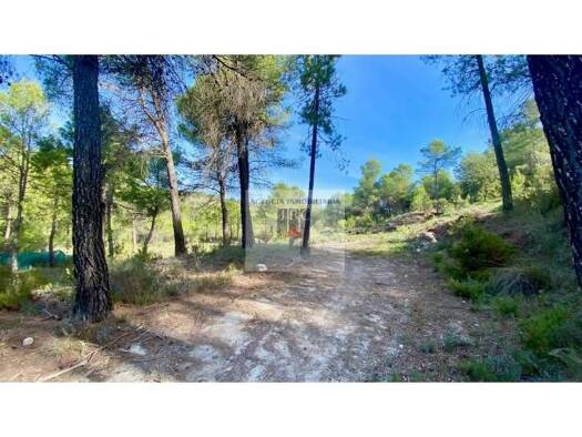 Acker-/Waldstück zum Kauf 78.000 € Alcoi / Alcoy 03802