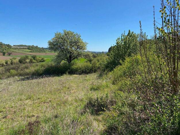 Grundstück zum Kauf 255.000 € 727 m² Grundstück Baugenehmigung vorhanden Kallmünz Kallmünz 93183