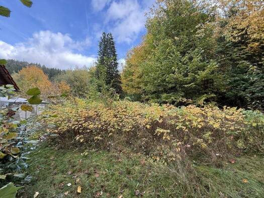 Grundstück zum Kauf 2.887 m² Grundstück frei ab sofort Warmensteinach 95485
