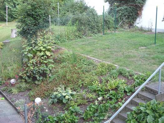 Wohnung zur Miete 795 € 3 Zimmer 77 m² Geschoss 1/4 frei ab sofort West Vorderer Westen 34119