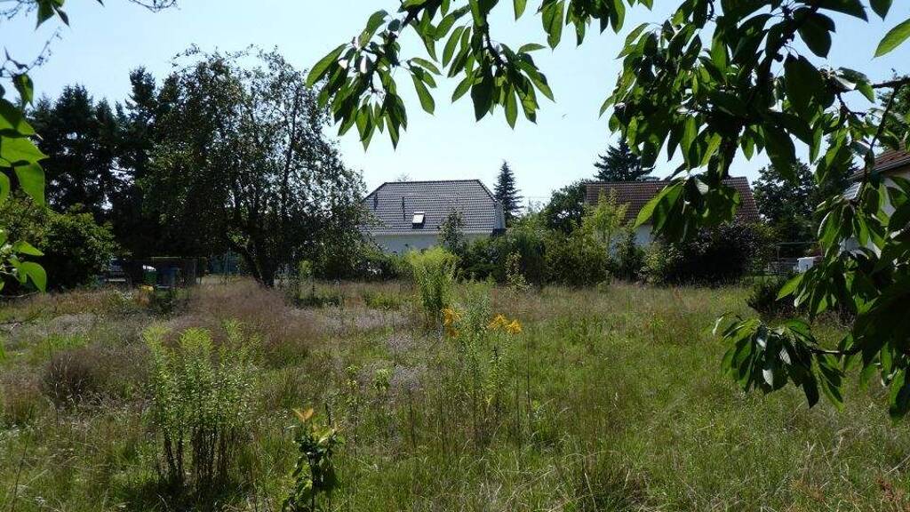 Grundstück zum Kauf 400.000 € 1.099 m² Grundstück Altlandsberg 15345