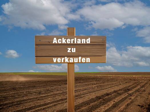 Grundstück zum Kauf provisionsfrei 53.592 € 4.466 m² Grundstück Meckenheim 53340