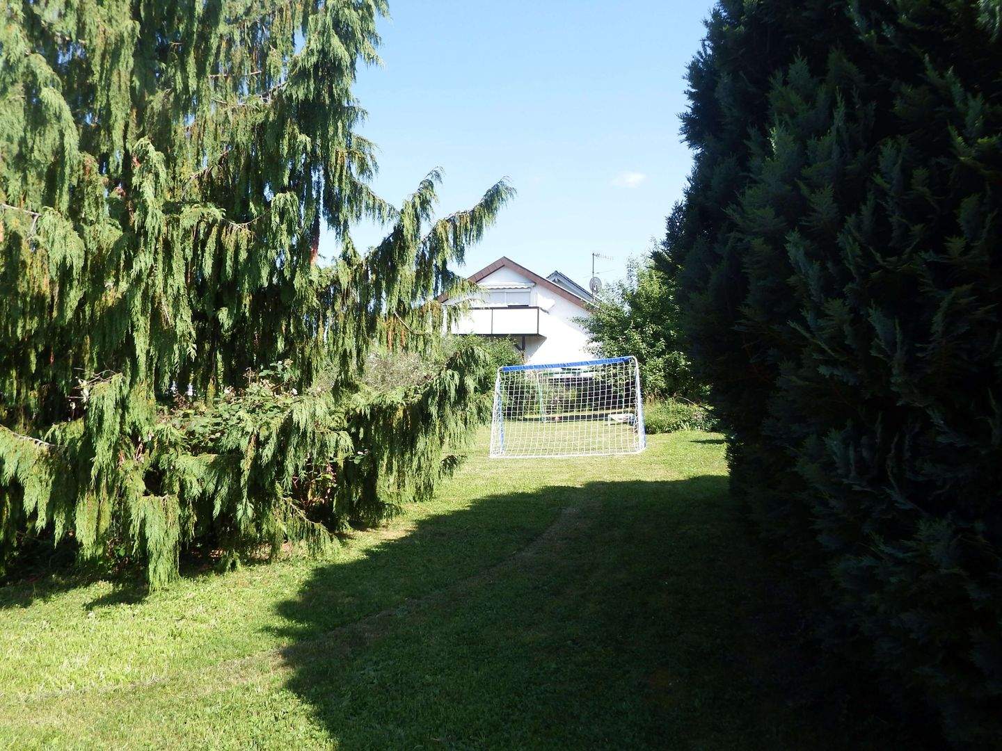 Immobilie in Bodelshausen - Freistehendes Haus mit großem Grundstück in hervorragender Lage  - Bild 3