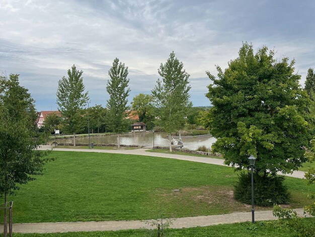 Wohnung zur Miete 1.050 € 3 Zimmer 106,2 m² 1. Geschoss frei ab 01.12.2025 Schwarzenberger Str. 13 Scheinfeld 91443