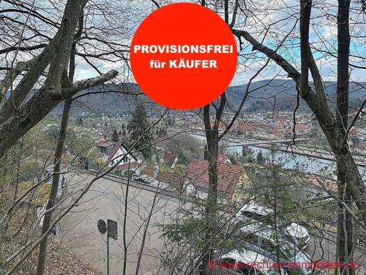 Grundstück zum Kauf provisionsfrei 39.500 € 386 m² Grundstück Eberbach 69412