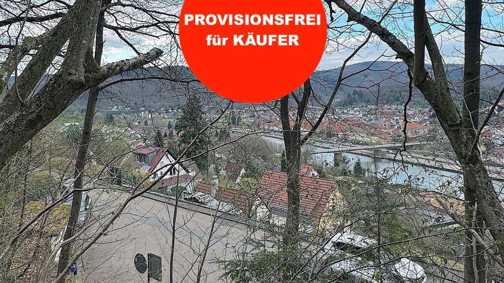 Grundstück zum Kauf provisionsfrei 39.500 € 386 m² Grundstück Eberbach 69412