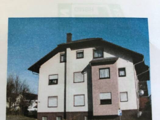 Wohnung zur Miete 350 € 1 Zimmer 30 m² Geschoss 1/2 frei ab sofort Damaschkestraße 64 Erbach Erbach 64711