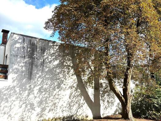 Stellplatz zur Miete provisionsfrei 85 € Lottestr. 15 Lokstedt Hamburg 22529