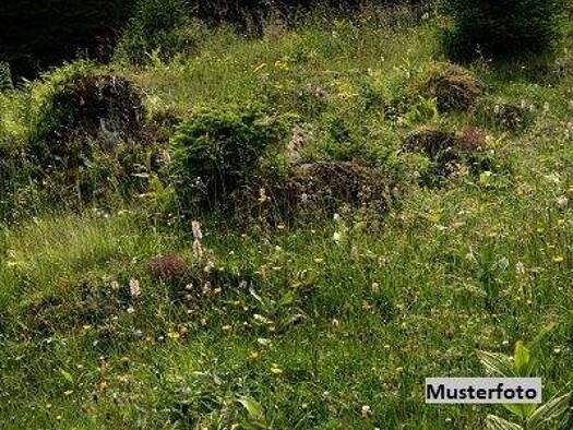 Land-/Forstwirtschaft zum Kauf 37.000 € 950 m² Grundstück Mürzzuschlag 8680