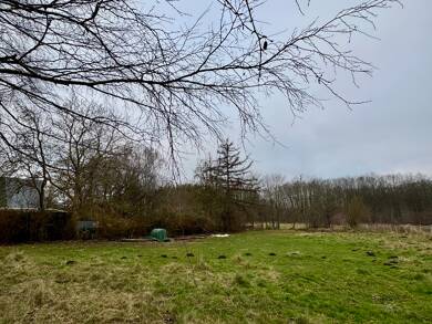 Grundstück zum Kauf 49.000 € 1.320 m² Grundstück Baugenehmigung vorhanden Waldstraße 13 Kummerow Heide Kummerow 18442