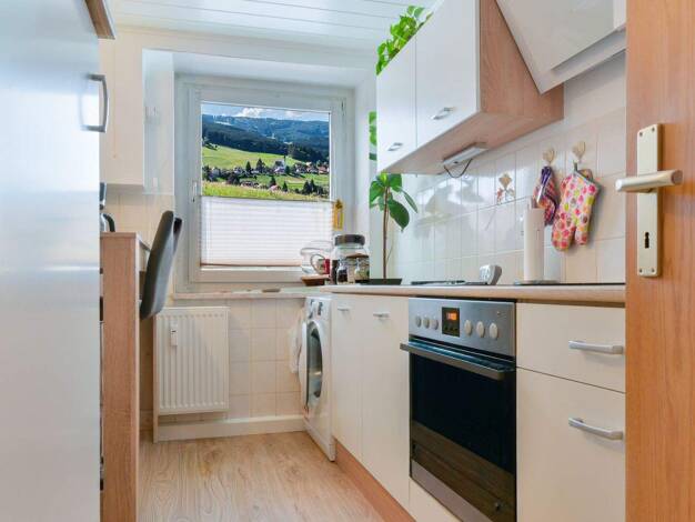 Wohnung zur Miete 280 € 3 Zimmer 56 m² EG Kurort Seiffen/Erzgeb. 09548