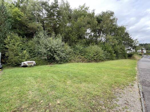 Grundstück zum Kauf 30.000 € 870 m² Grundstück Horath 54497