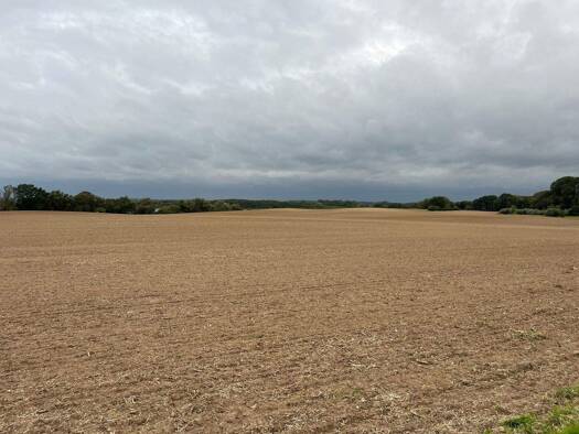 Land-/Forstwirtschaft zum Kauf 280.000 € 107.151 m² Grundstück Ludorfer Weg 10 Röbel Röbel/Müritz 17207