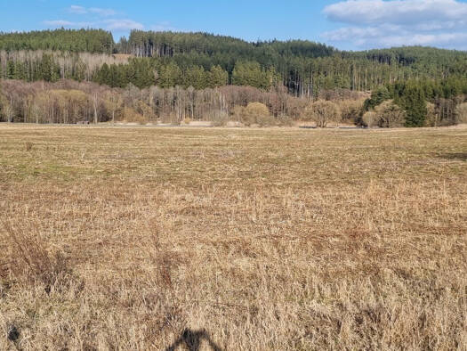 Land-/Forstwirtschaft zum Kauf 75 CZK Halze 34701