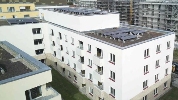 Mehrfamilienhaus zur Miete - Neubau 1.000 Zimmer 1.000 m² 1.000 m² Grundstück frei ab sofort Fettenvorstadt Greifswald 17489