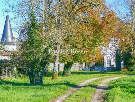 Herrenhaus zum Kauf 636.000 € 14 Zimmer 385 m² 56.815 m² Grundstück Aigre 16140