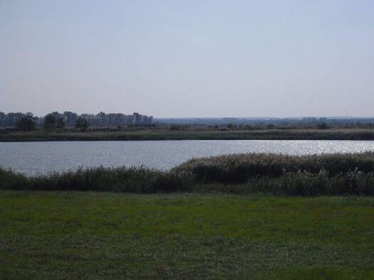 Grundstück zum Kauf als Kapitalanlage geeignet 60.000 € 2.000 m² Grundstück Fertöujlak 9434