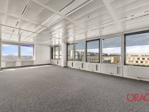 Bürofläche zur Miete 14,50 € 247 m² Bürofläche Wien 1220