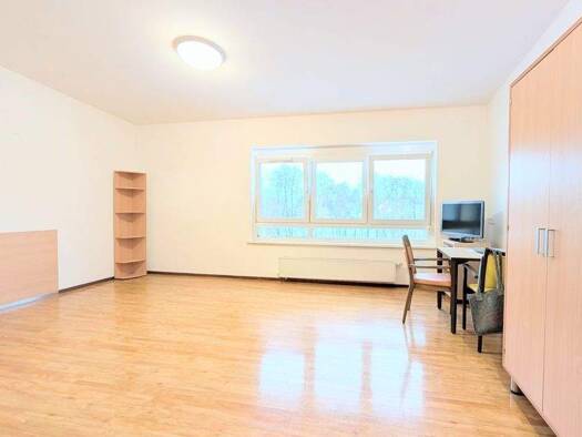 Studio zur Miete 440 € 1 Zimmer 34 m² 3. Geschoss Pittersdorf Hummeltal 95503