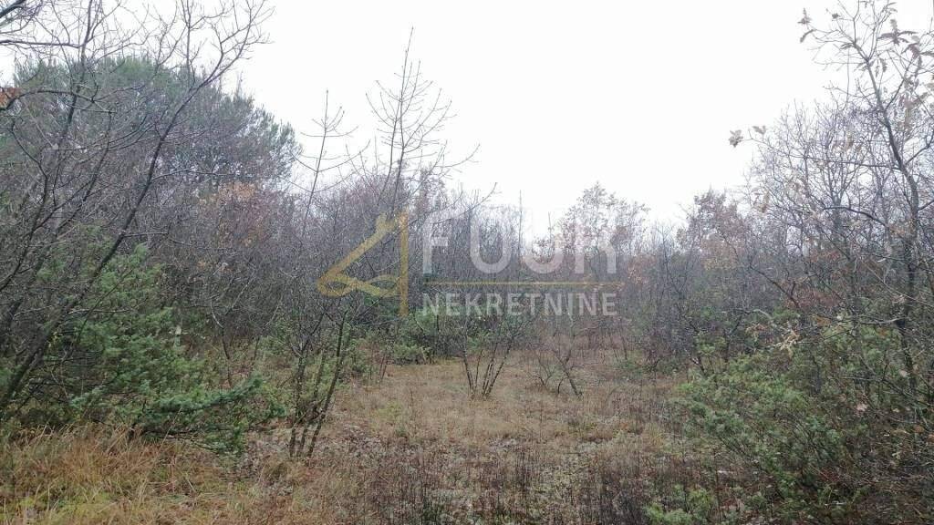 Land-/Forstwirtschaft zum Kauf 75.000 € Vodnjan Vodnjan