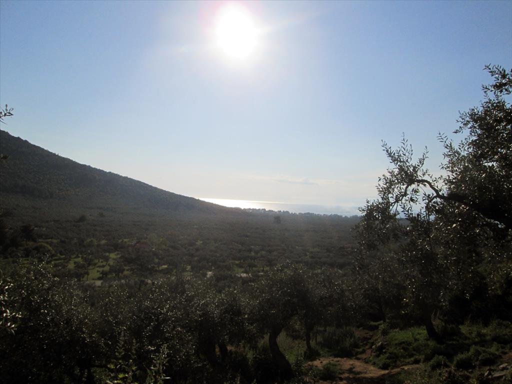 Land-/Forstwirtschaft zum Kauf 80.000 € 5.365 m²<br/>Grundstück Thassos