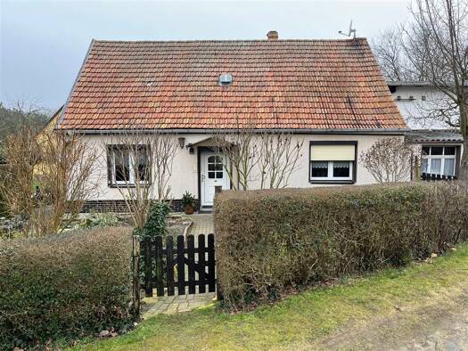 Einfamilienhaus zum Kauf 59.000 € 3 Zimmer 77 m² 590 m² Grundstück Mahlitzsch 04880