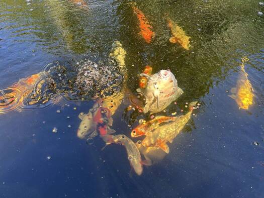 Einfamilienhaus zum Kauf 317.939 € 4,5 Zimmer 132,5 m² 569 m² Grundstück Dülmen 48249