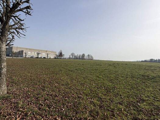 Grundstück zum Kauf 850.000 € 7.756 m² Grundstück frei ab sofort Bad Schussenried Bad Schussenried 88427