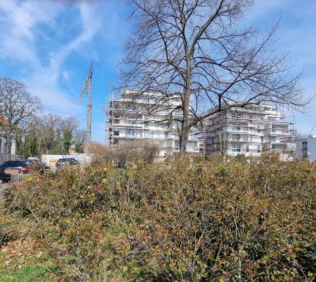 Wohnung zum Kauf - Neubau provisionsfrei 730.000 € 4 Zimmer 126 m² EG frei ab sofort Alte Frankfurter Str.42 Waldhof Mannheim 68305