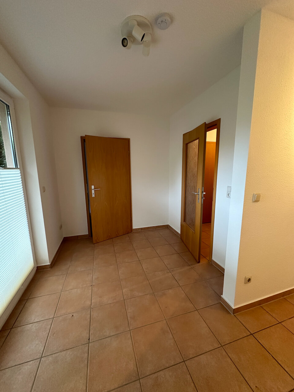 Terrassenwohnung zur Miete 499 € 1,5 Zimmer 30,5 m²<br/>Wohnfläche EG<br/>Geschoss Baustraße 33a Fleischervorstadt Greifswald 17489