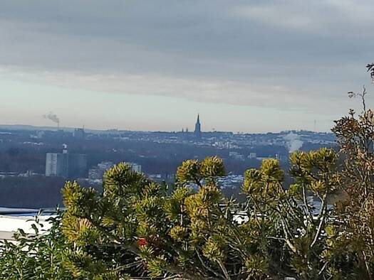 Doppelhaushälfte zur Miete 1.400 € 5 Zimmer 135 m² 312 m² Grundstück frei ab sofort Oberelchingen Elchingen 89275