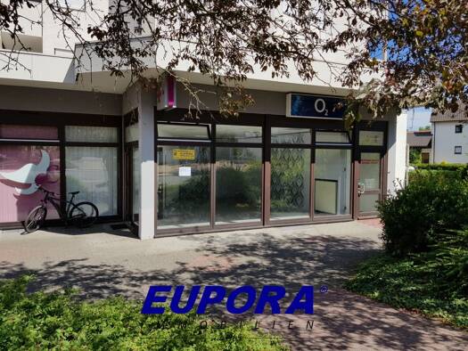 Laden zur Miete provisionsfrei 9,78 € 1 Zimmer 42 m² Verkaufsfläche Kirchheimbolanden Kirchheimbolanden 67292
