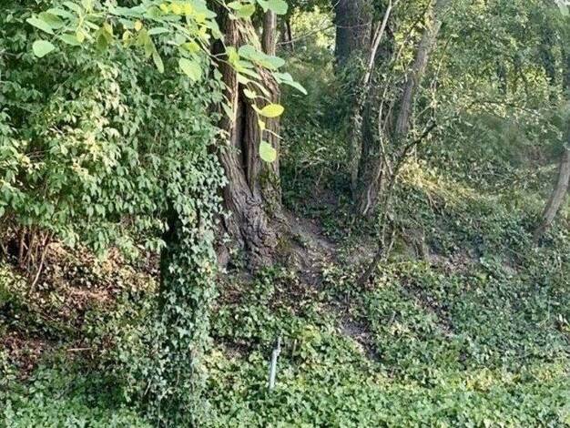 Freizeitgrundstück zum Kauf provisionsfrei 175.000 € 2.300 m² Grundstück Klein Kreutz Brandenburg an der Havel 14776