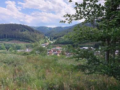 Land-/Forstwirtschaft zum Kauf 15.000 € 5.000 m² 5.000 m² Grundstück Wellesbach Wallenfels 96346