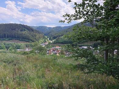 Land-/Forstwirtschaft zum Kauf 15.000 € 5.000 m² 5.000 m² Grundstück Wellesbach Wallenfels 96346