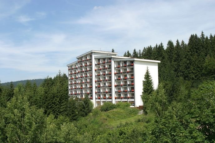 Wohnung zum Kauf 54.000 € 2 Zimmer 53 m²<br/>Wohnfläche EG<br/>Geschoss Duschlberg 24 Duschlberg Neureichenau 94089