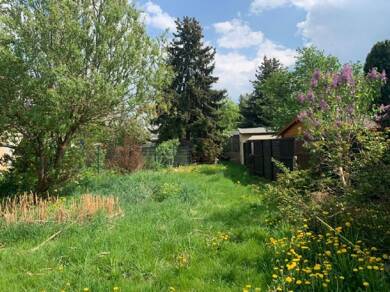 Wohnung zur Miete 640 € 3 Zimmer 66 m² EG Arnsdorf Arnsdorf 01477